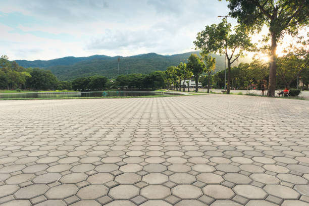 Best Affordable Driveway Pavers  in Douglas, AZ